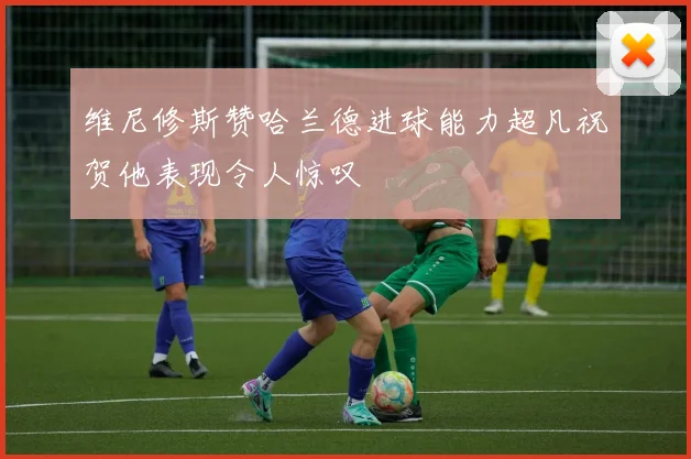 维尼修斯赞哈兰德进球能力超凡祝贺他表现令人惊叹