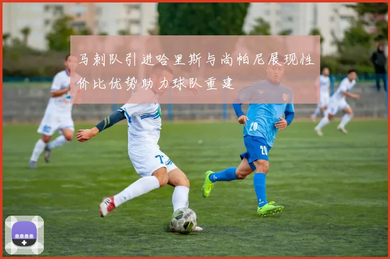 马刺队引进哈里斯与尚帕尼展现性价比优势助力球队重建
